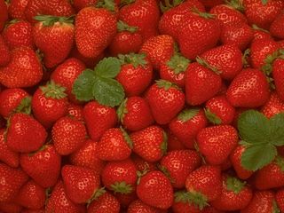 Strawberry fileds